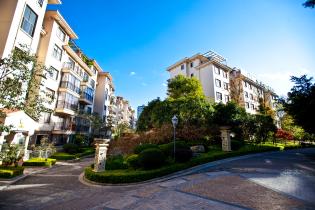 1577757870193_375X210_2